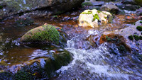 Fliegende-Kamera-Remote-Gimbal-Harz-Bodetal